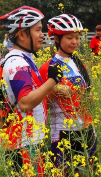 东莞桥头，油菜花开的季节！