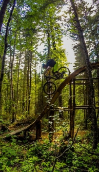 国外DH山野骑行自行用木板设计的线路